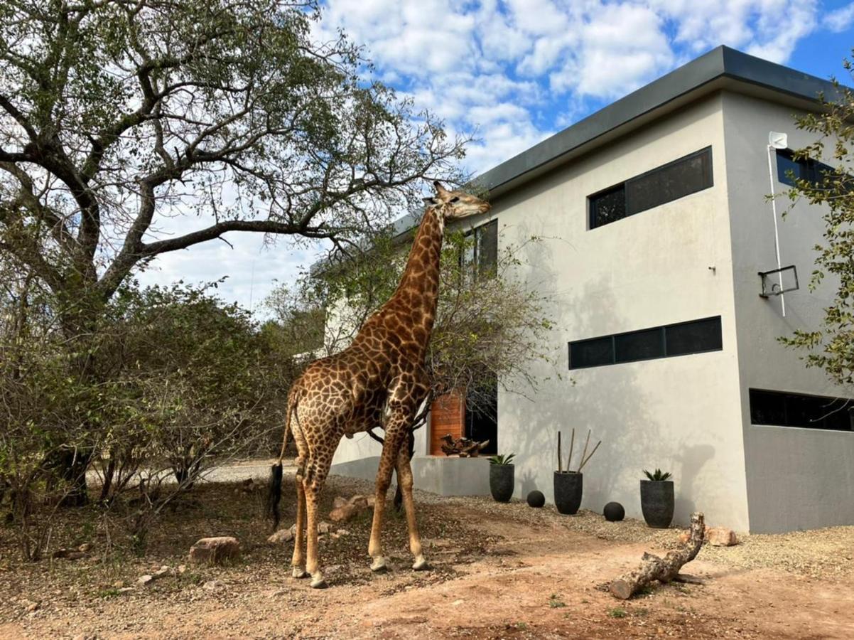 Birdsong Kruger Vila Marloth Park Exterior foto